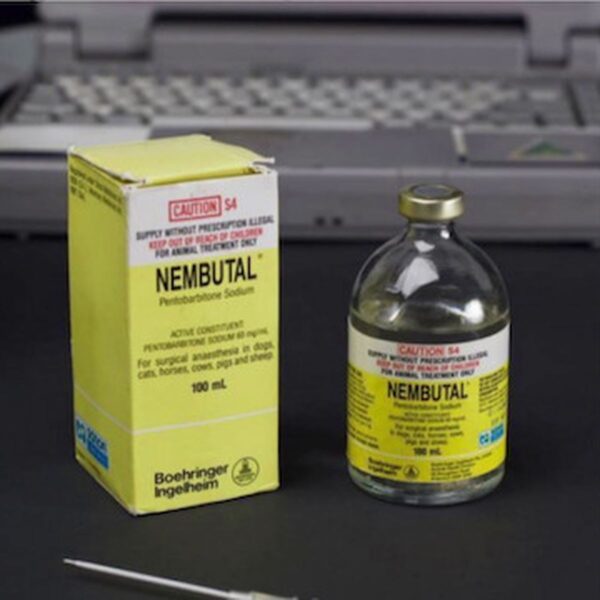 NEMBUTAL SOLUTION INJECTABLE